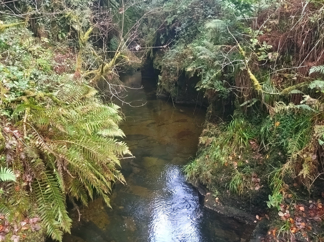 Lydford Gorge-Lydford必去景点