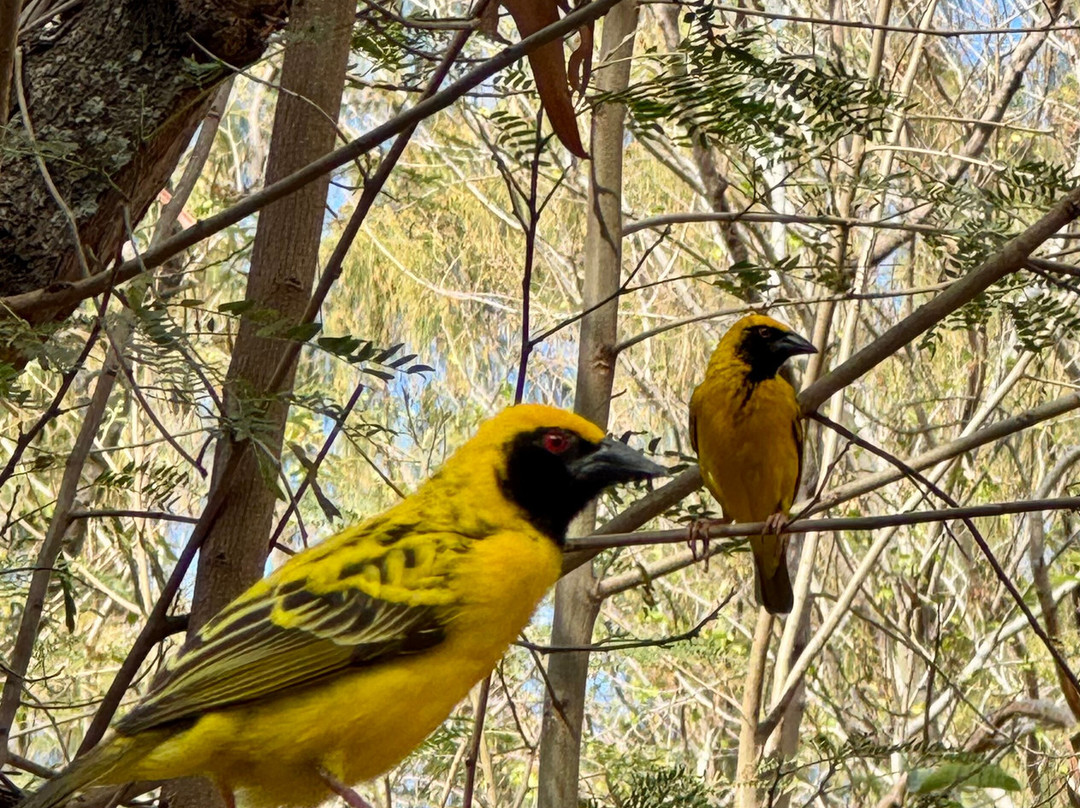 South Adventure Experience Ltd-钱米格兰尼尔必去景点