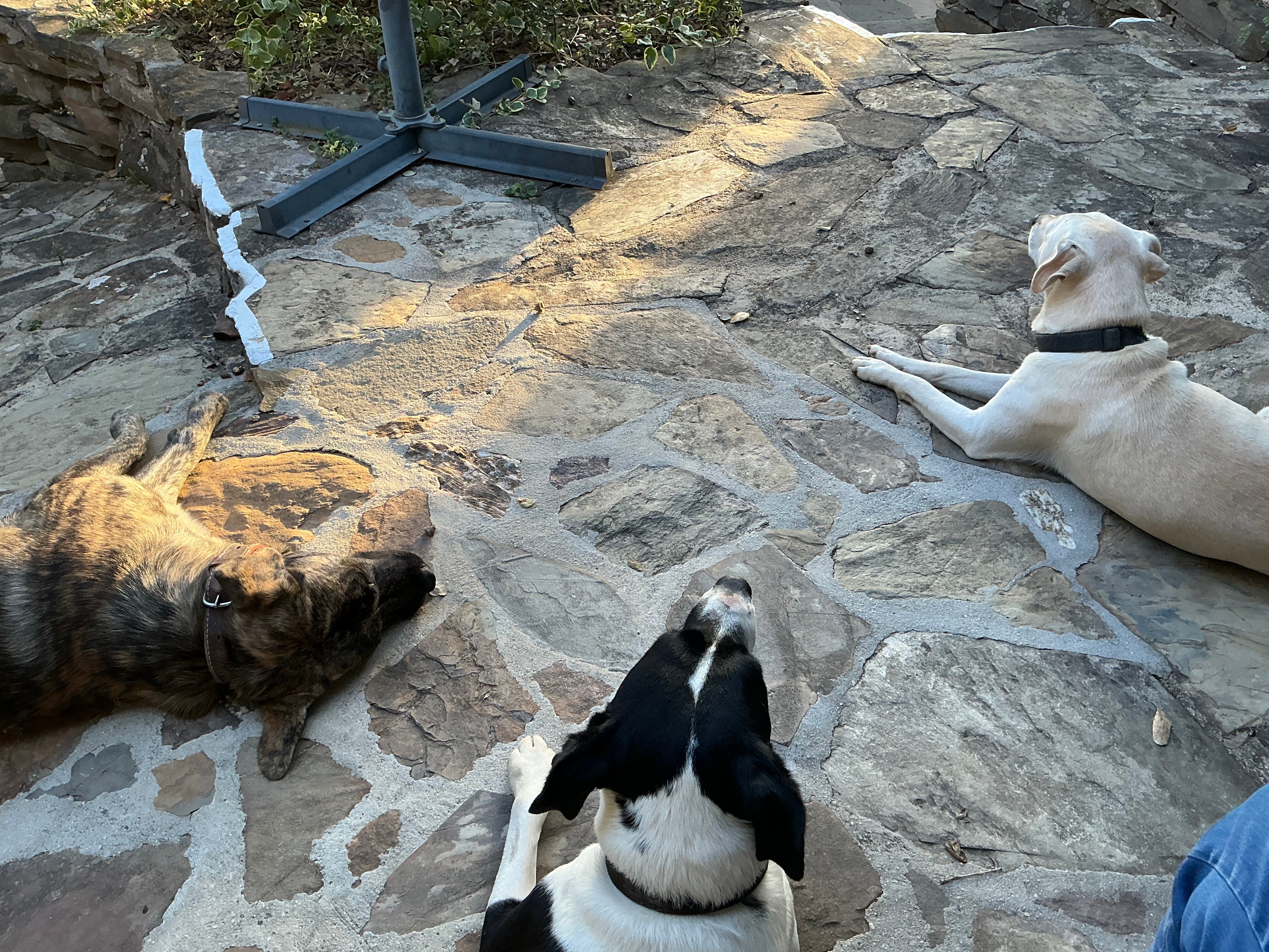 Paradise In Portugal-官方