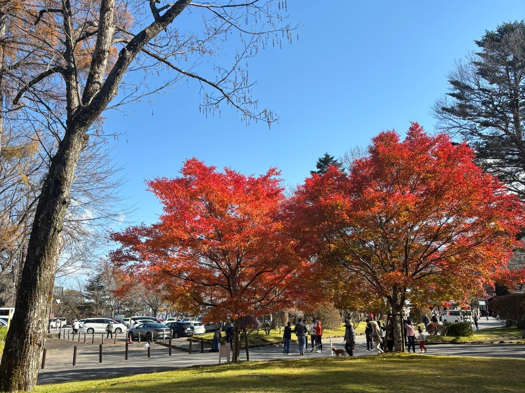 华严瀑布-日光市必去景点