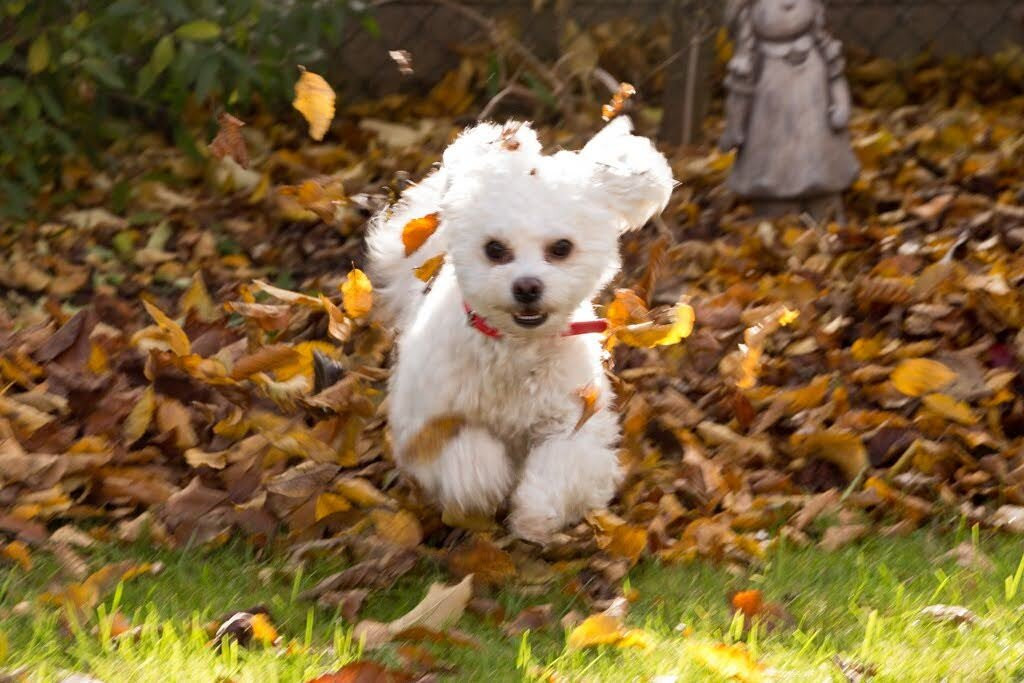 Europa Therme Bad Fussing-Bad Fussing必去景点