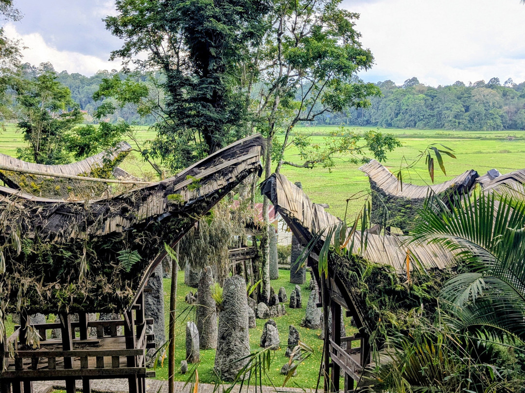 Toraja local guide-Tana Toraja必去景点