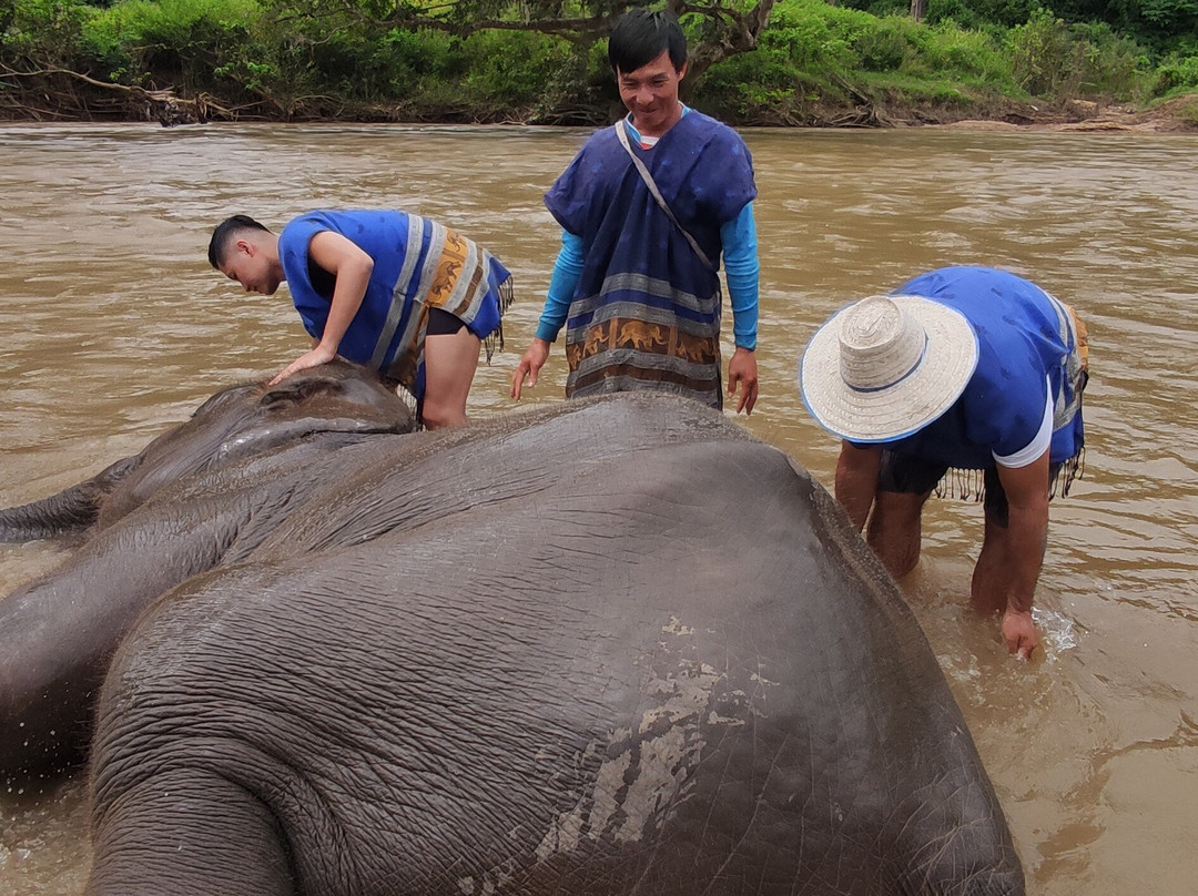 New Elephant Home-Kuet Chang必去景点