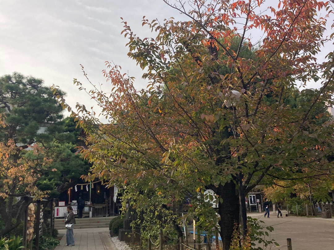 Hatomori Hachiman Shrine-Sendagaya必去景点