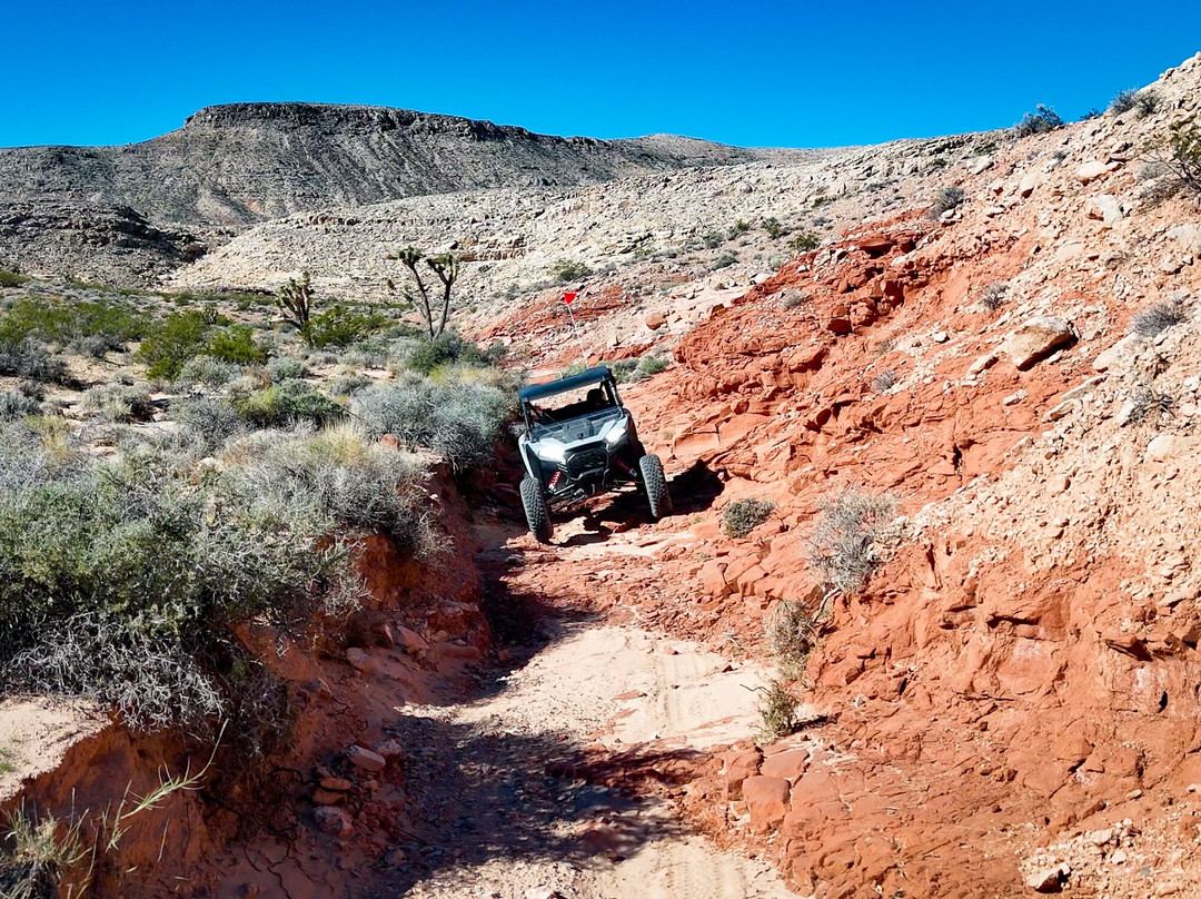 Vegas Off Road Tours-Jean必去景点