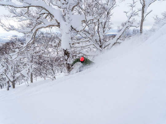 Revelstoke Photography Tours-雷夫尔斯托克必去景点
