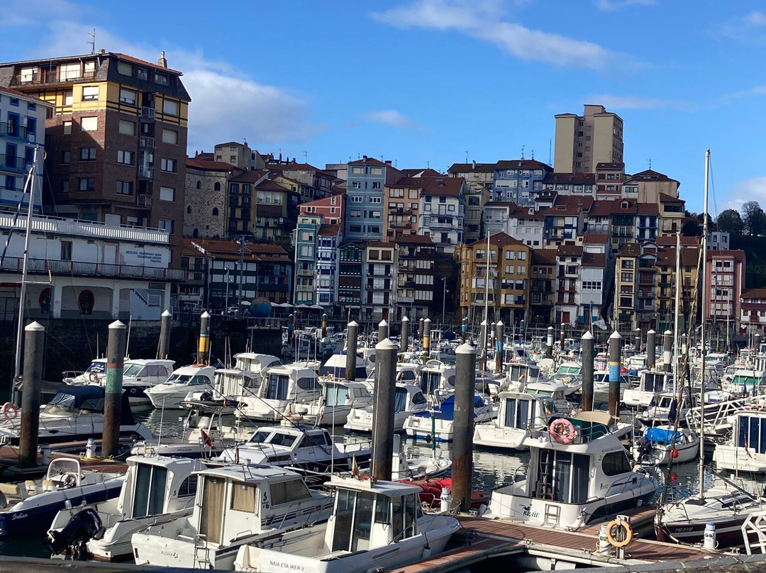 Puerto Viejo Bermeo-贝尔梅奥必去景点