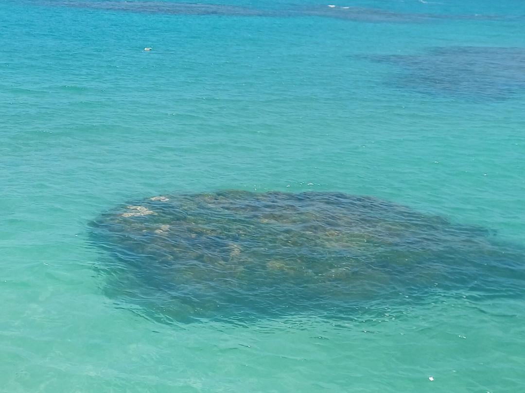 Piscinas Naturais do Seixas-Joao Pessoa必去景点