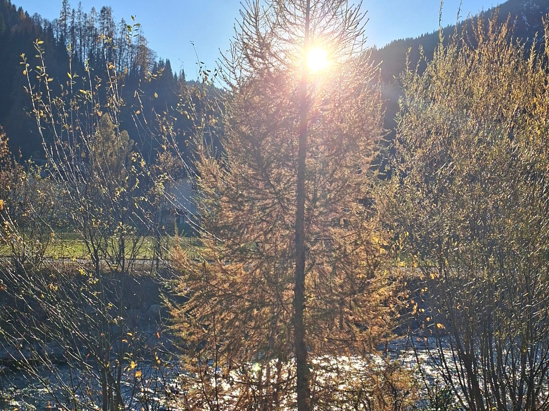 Seven Alpina Boutique Hotel主图