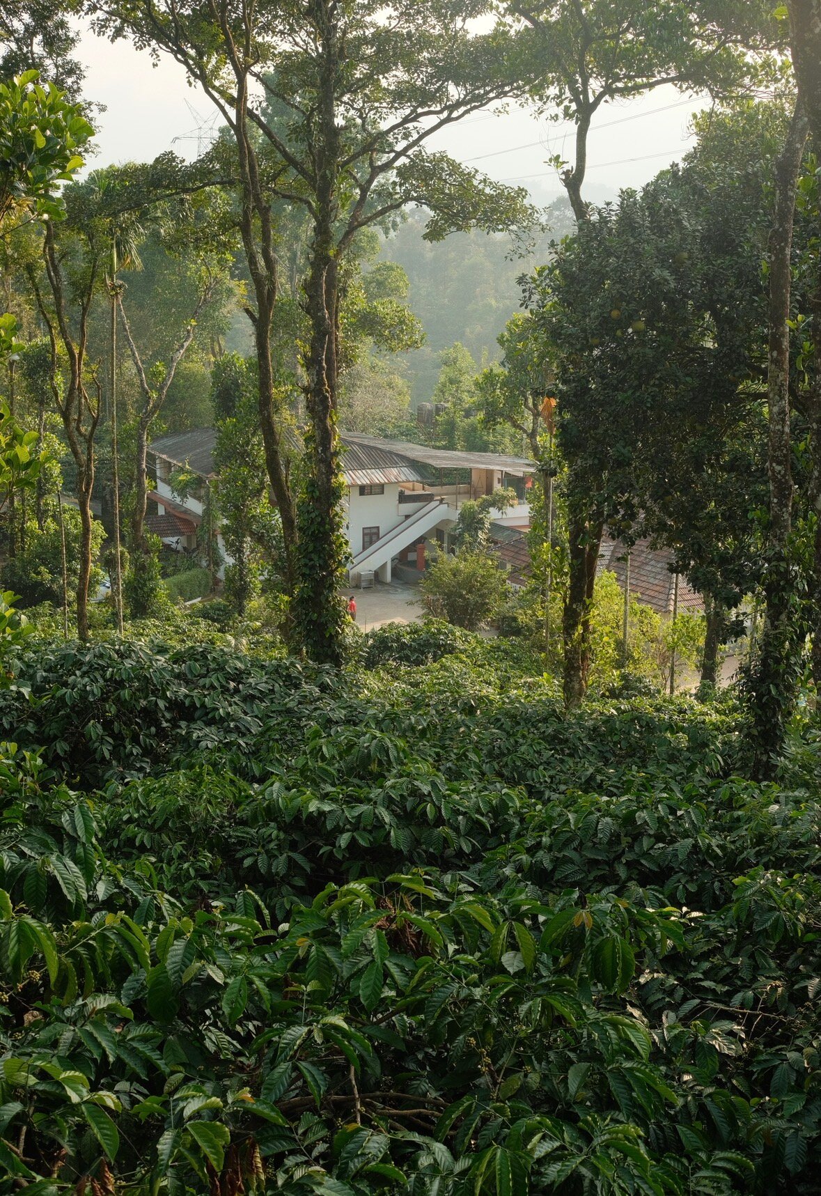 Dhanagiri Home Stay-官方