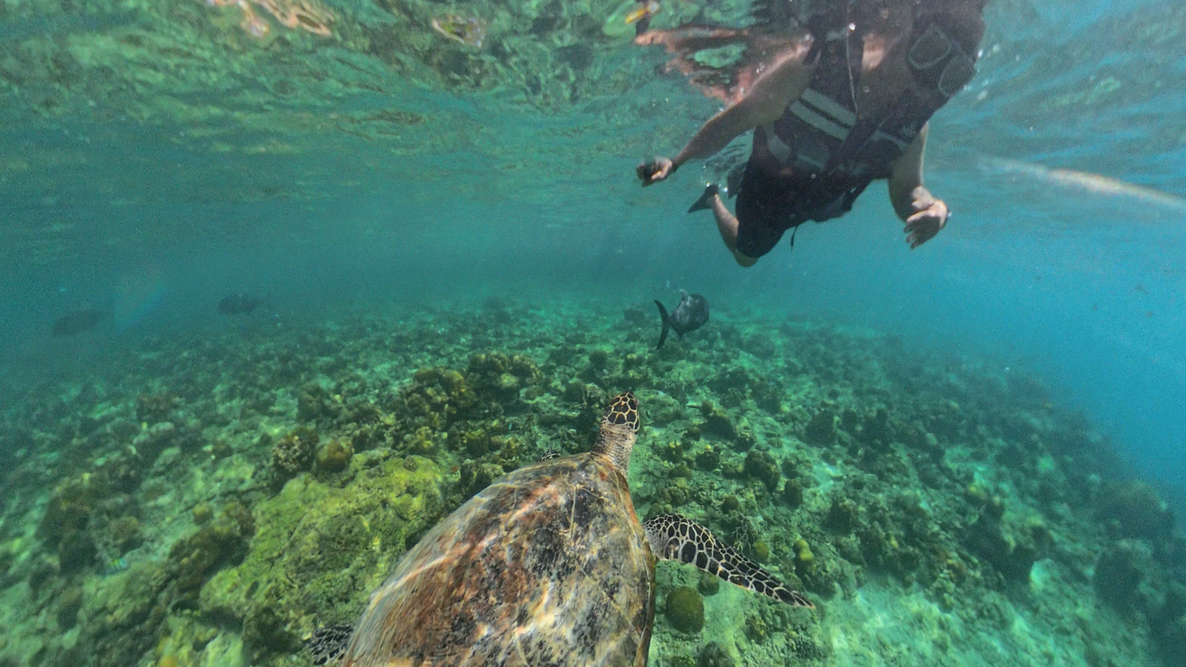 潘古拉西安岛艾尔尼多度假村-官方