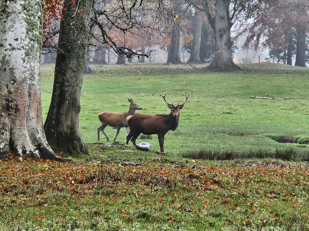 Fasque Castle-Fettercairn必去景点