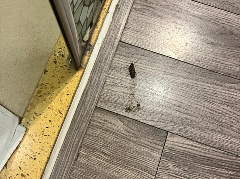 Hanoi City Backpackers Hostel主图