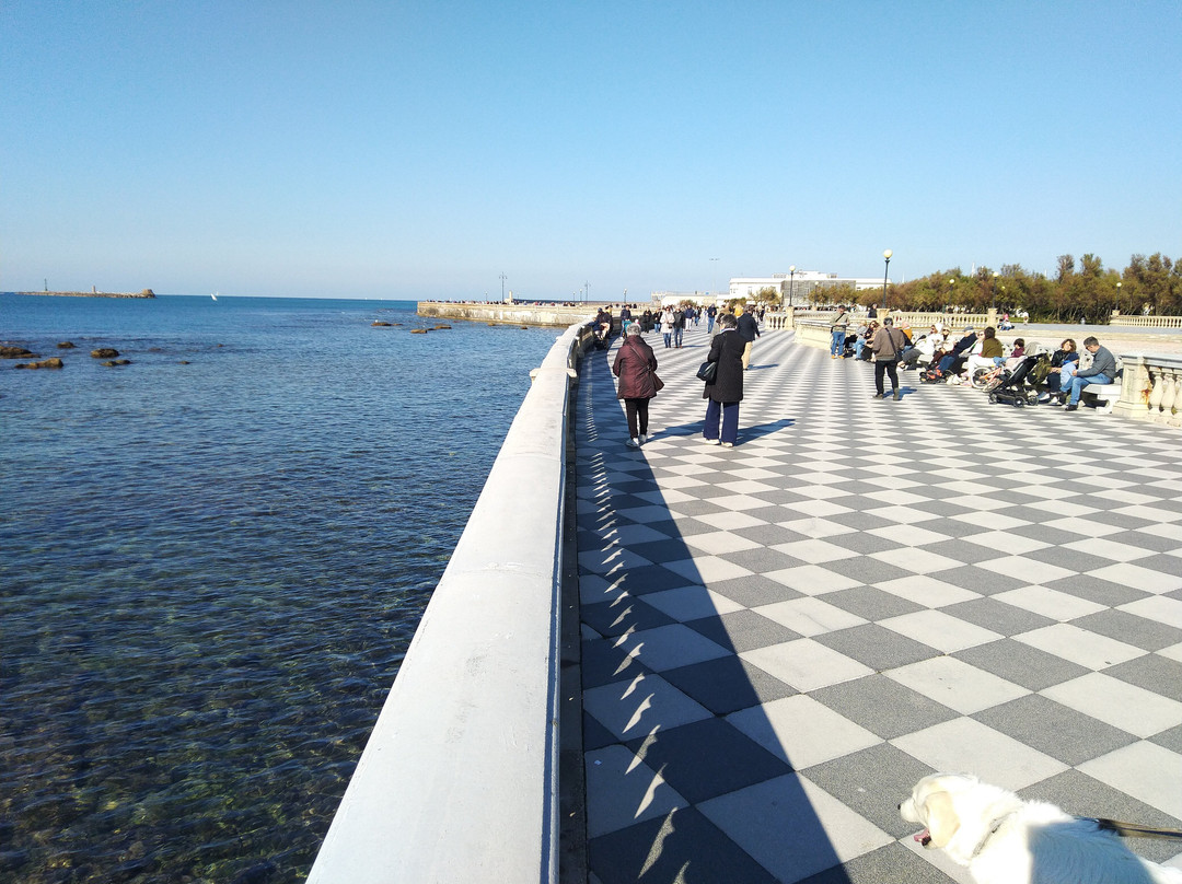 Terrazza Mascagni-里窝那必去景点