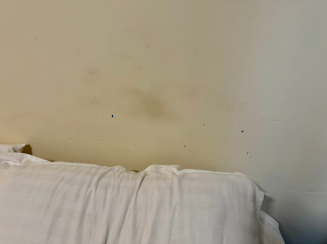 The Halfway House Inn Country Lodge主图