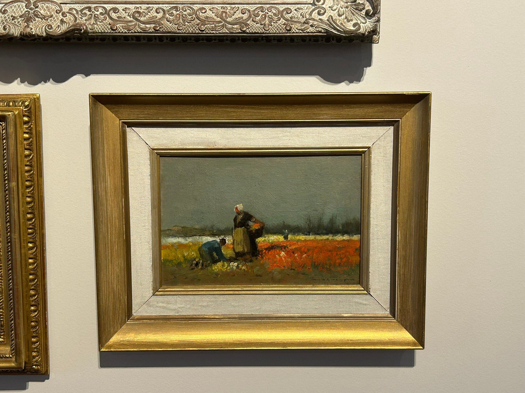 Museo de arte Tigre-蒂格雷必去景点