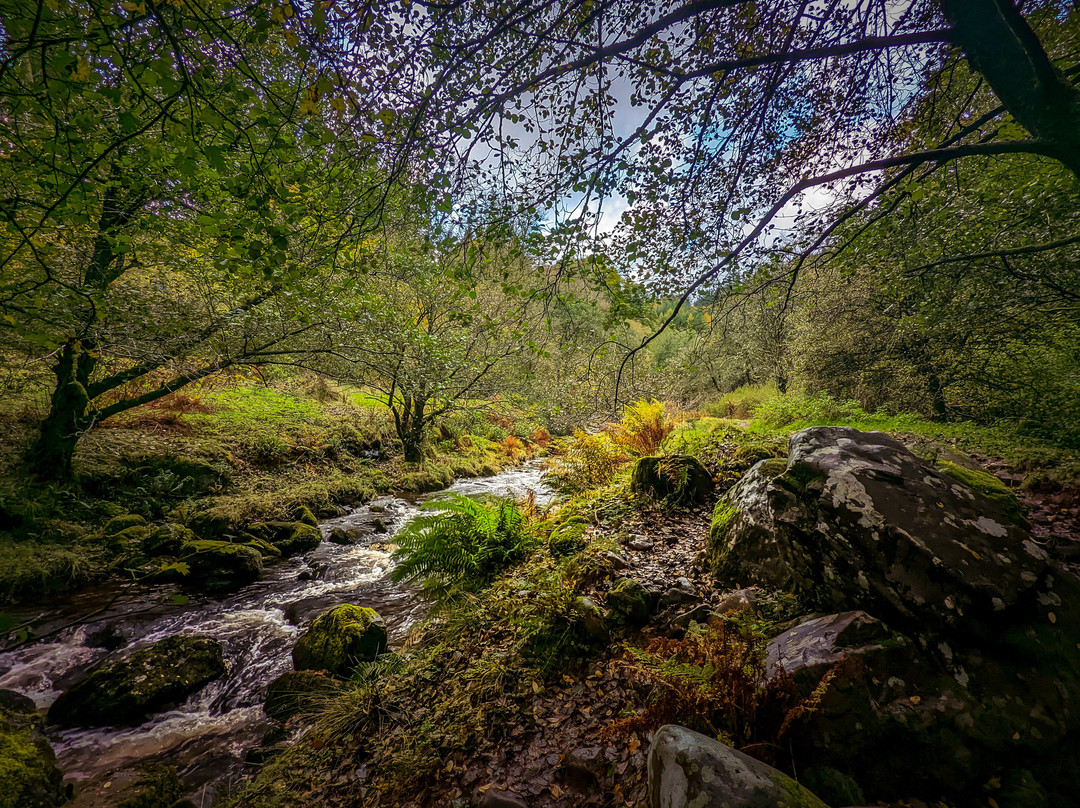 Mill Lodge Brecon Beacons主图