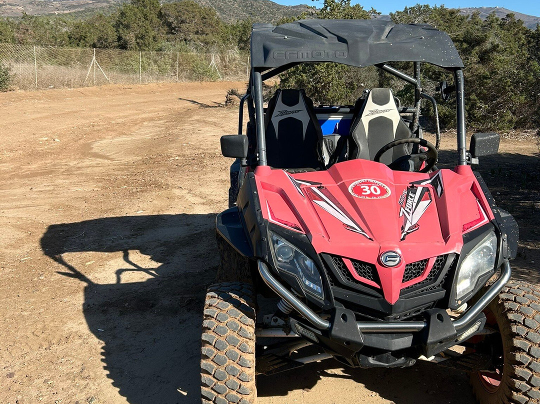 Petrides Rentals-Latchi必去景点