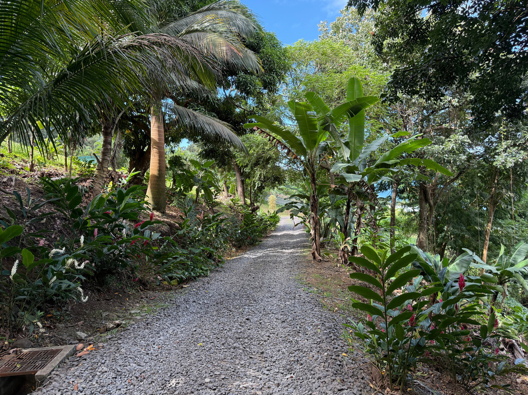 Parc De La Source-Bouillante必去景点
