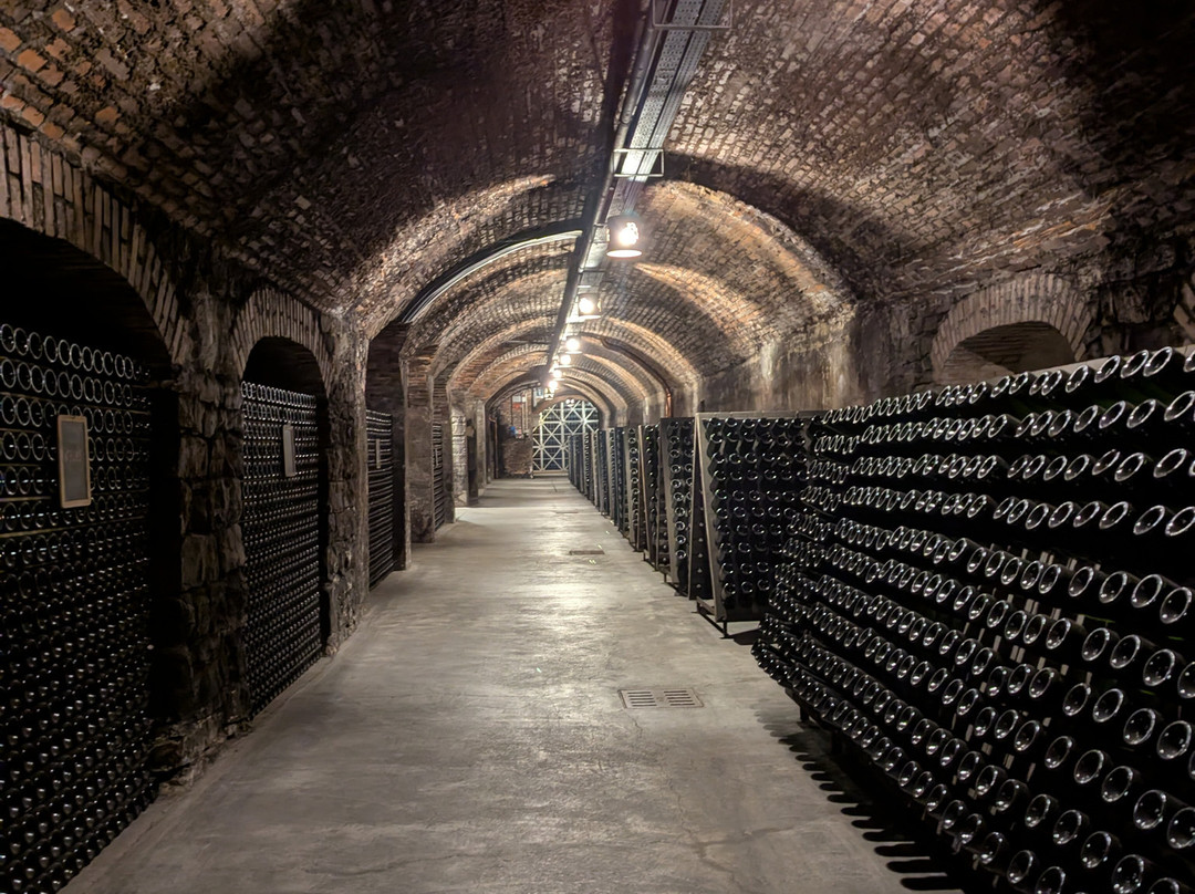 Berlucchi Winery-Corte Franca必去景点