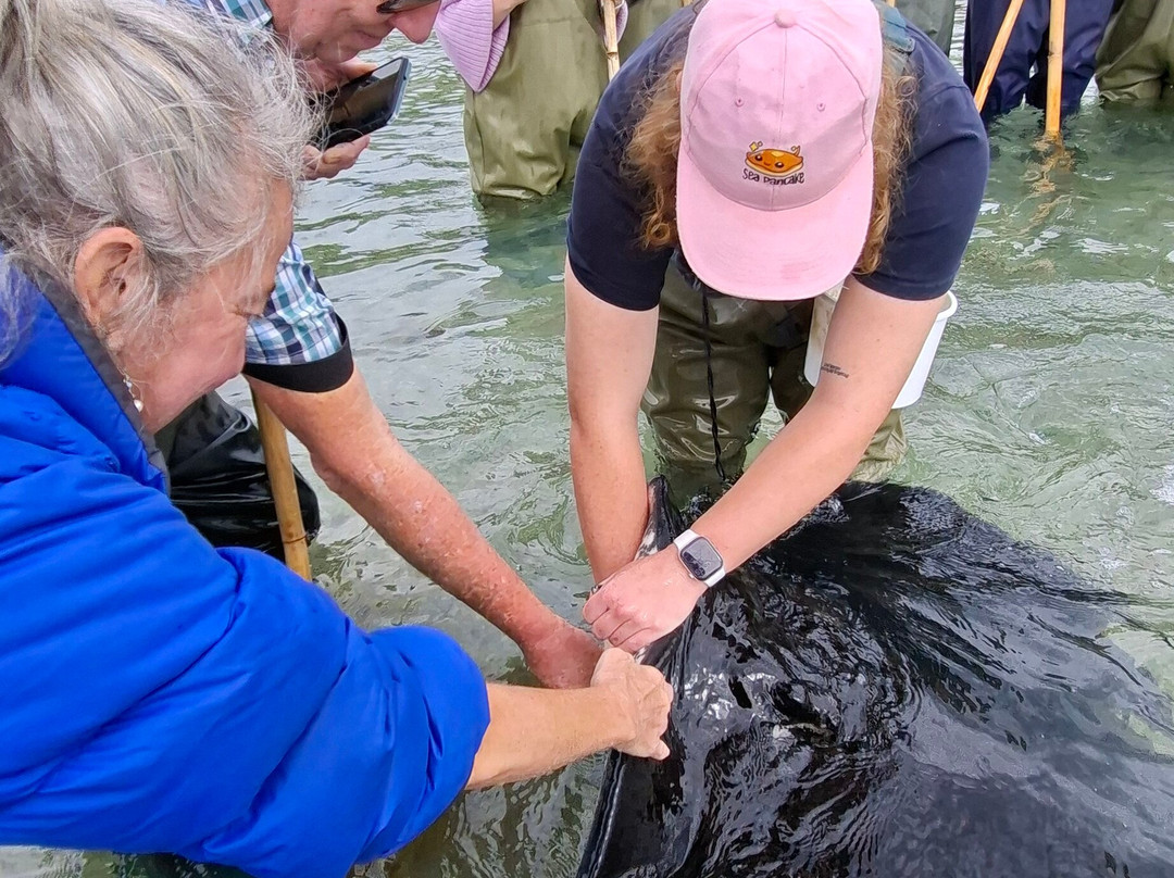 Dive Tatapouri-Gisborne Region必去景点