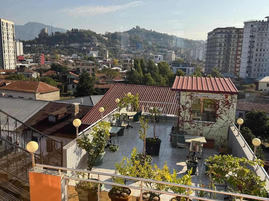 Vazha Davitadze's Winemaking and Wine Cellar-巴统必去景点