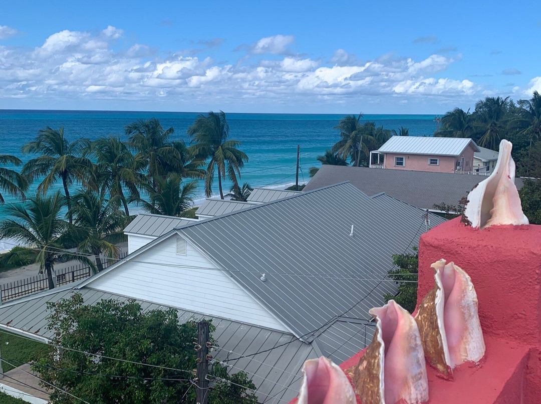 Dolphin House Museum-Alice Town必去景点