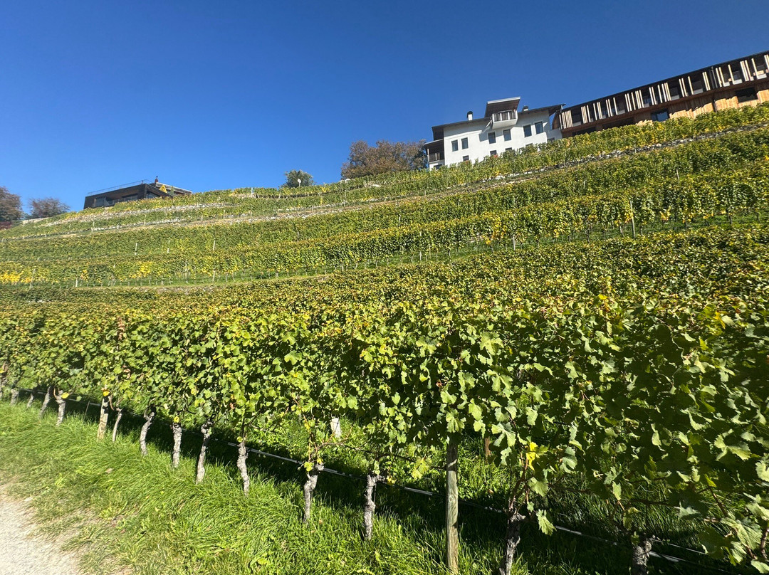 Abbazia di Novacella-Varna必去景点