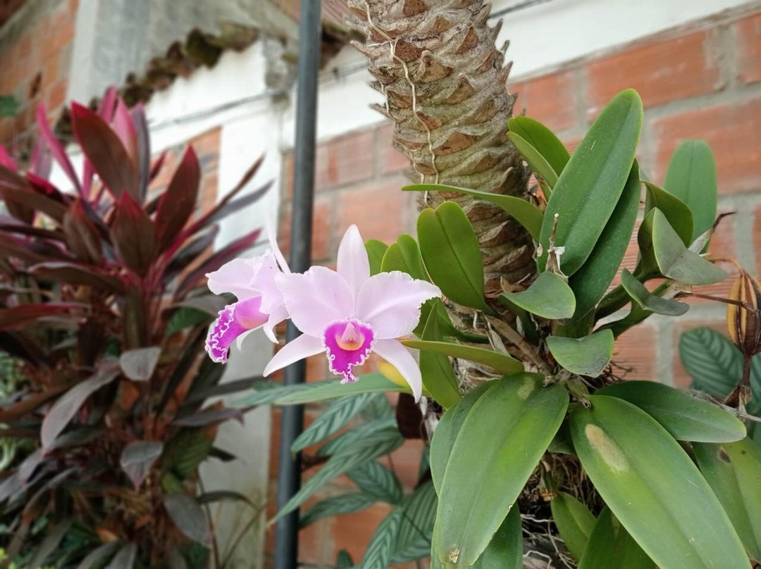 Rivera酒店住宿-Hotel Casa Oliveros