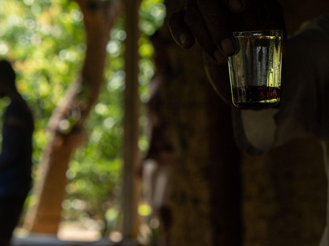 Harrysuni Tours-尼甘布必去景点