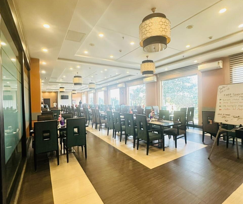 The Radiant Swan主图