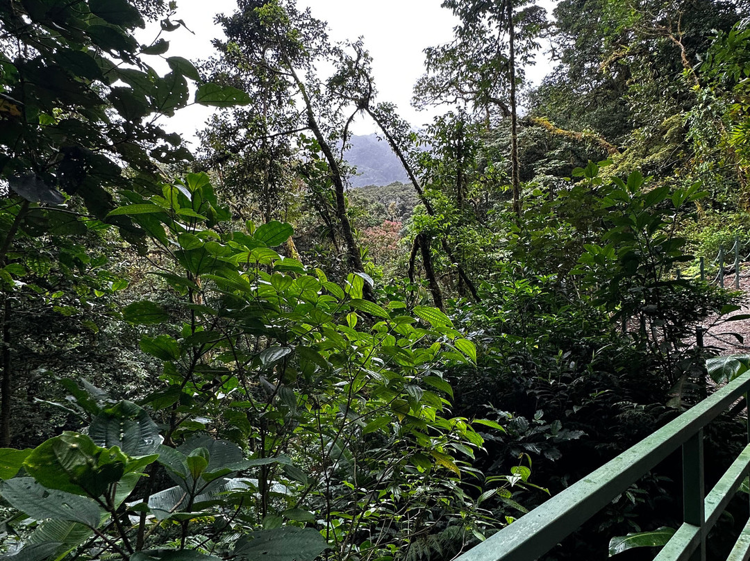 JC Nature Tour-蒙特维多云雾森林自然保护区必去景点