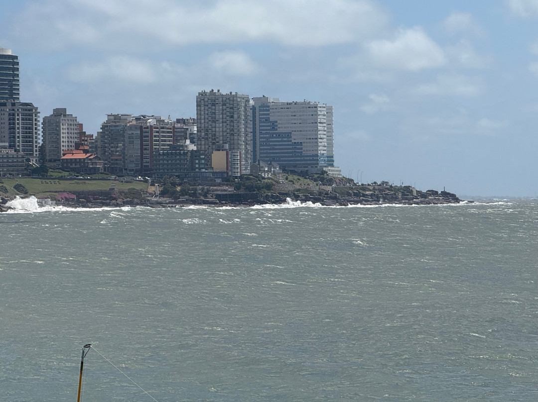 Bosque Peralta Ramos-马德普拉塔必去景点