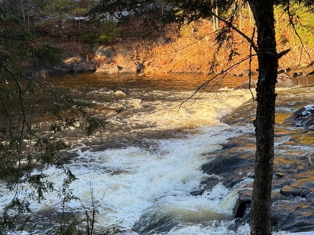 Oxtongue River-Ragged Falls Provincial Park-Dwight必去景点