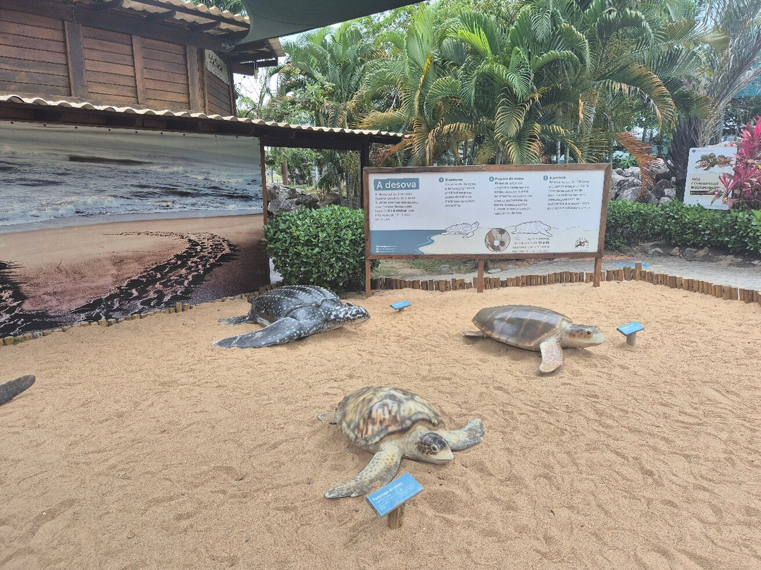 Fundação Projeto Tamar - Vitória-维多利亚必去景点