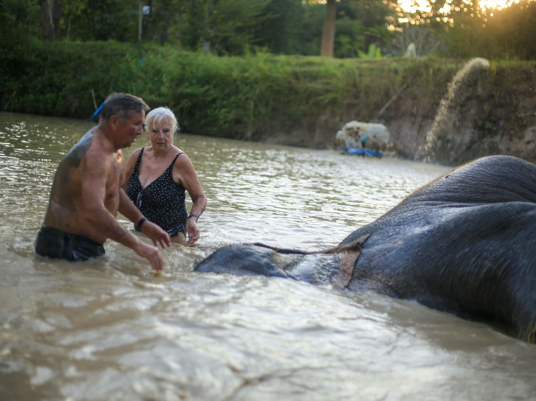 Maerim Elephant Sanctuary-夜林必去景点