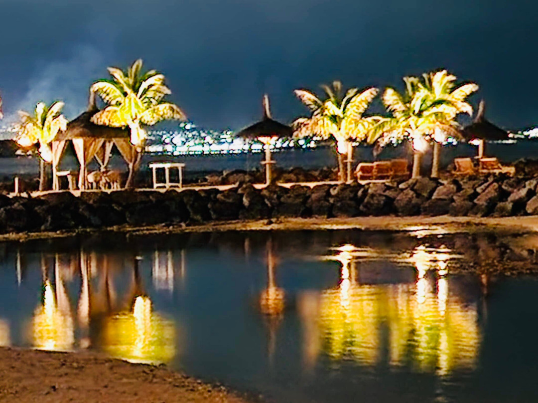 巴拉克拉瓦餐馆和美食-Noble House Restaurant