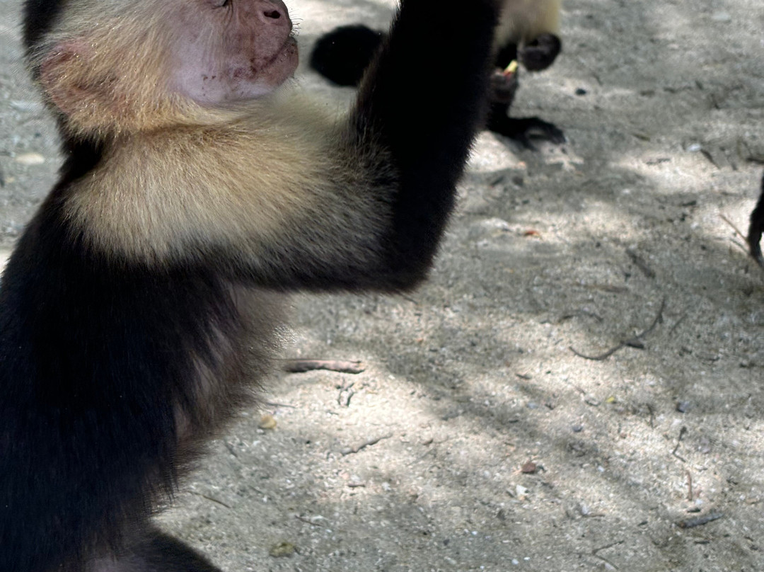 Blessing Tours-Area de Conservacion Guanacaste必去景点