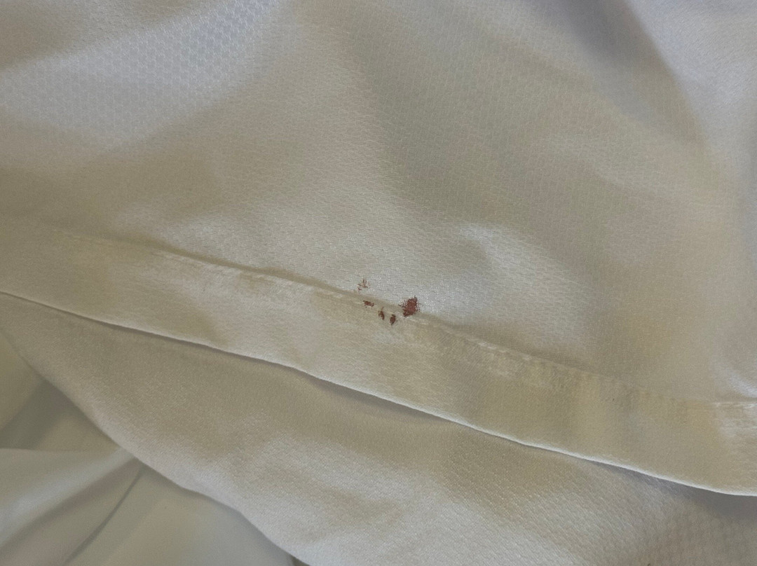 Best Western Brady Inn主图