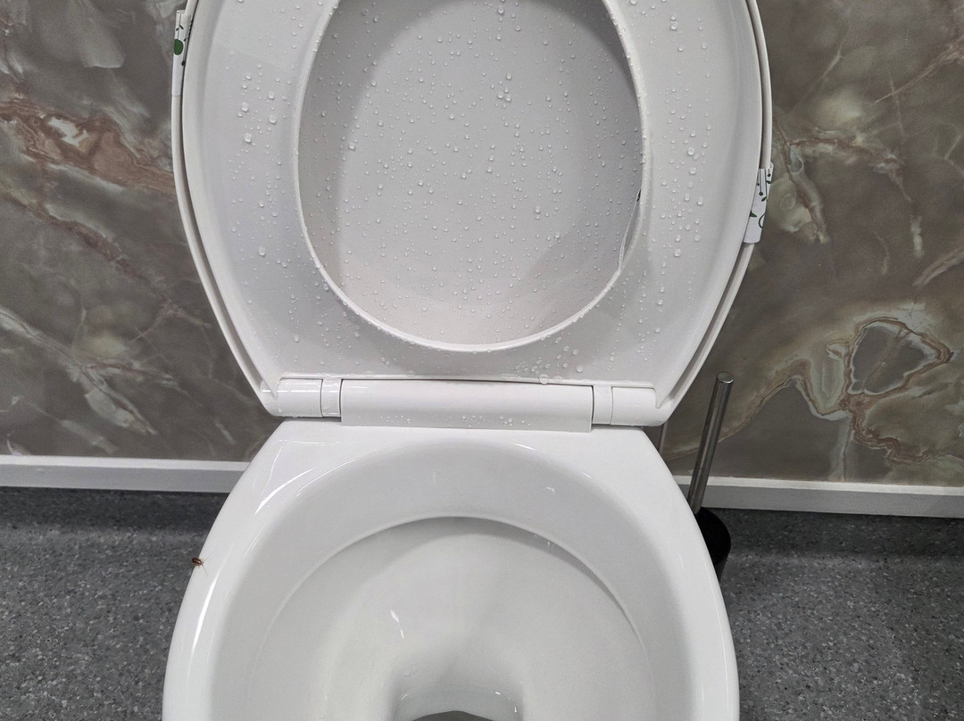 Beetham Park Motel主图