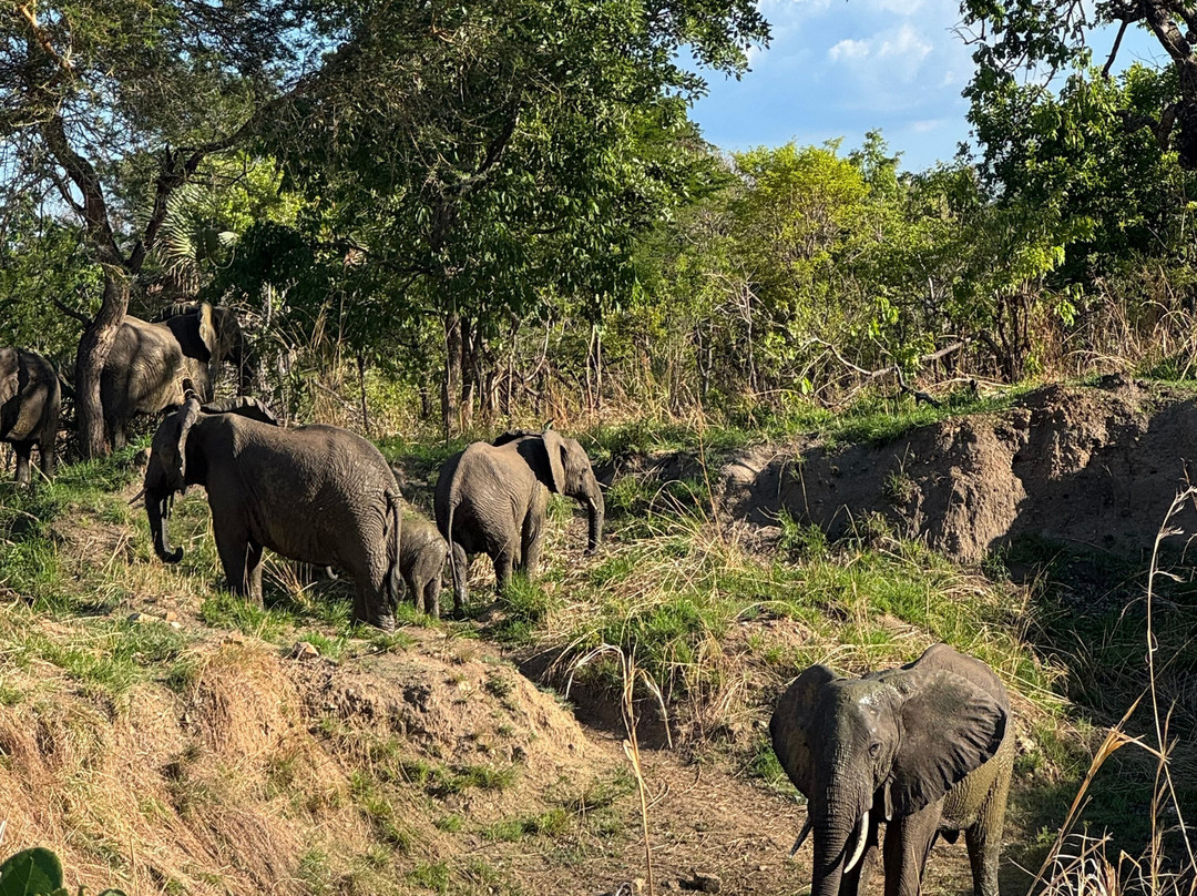 Passionate Safaris-Dar es Salaam必去景点