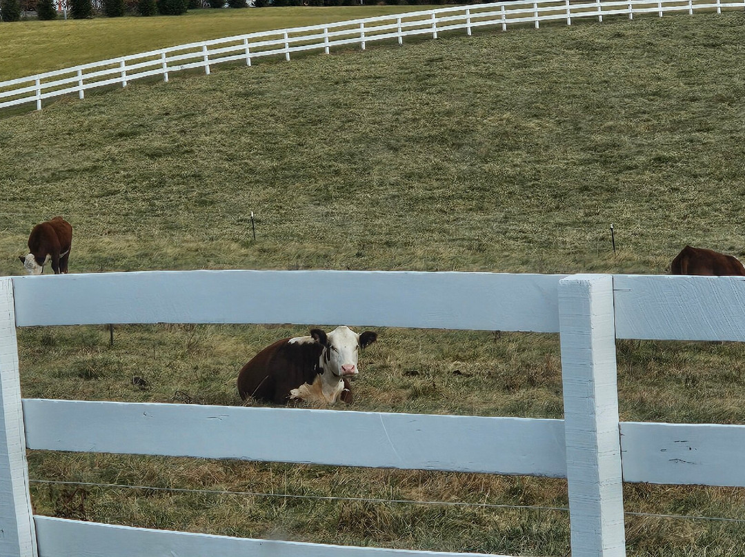 Grimmel Farms, Inc.-Jarrettsville必去景点