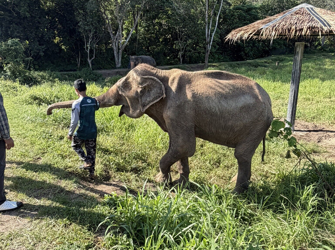 Phuket Elephant Nature Reserve-他朗必去景点