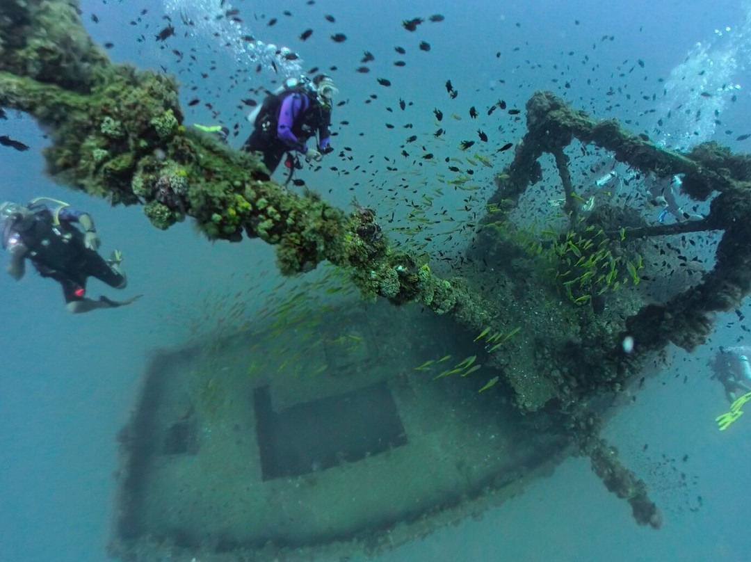 Tropical Diving-诺西贝必去景点