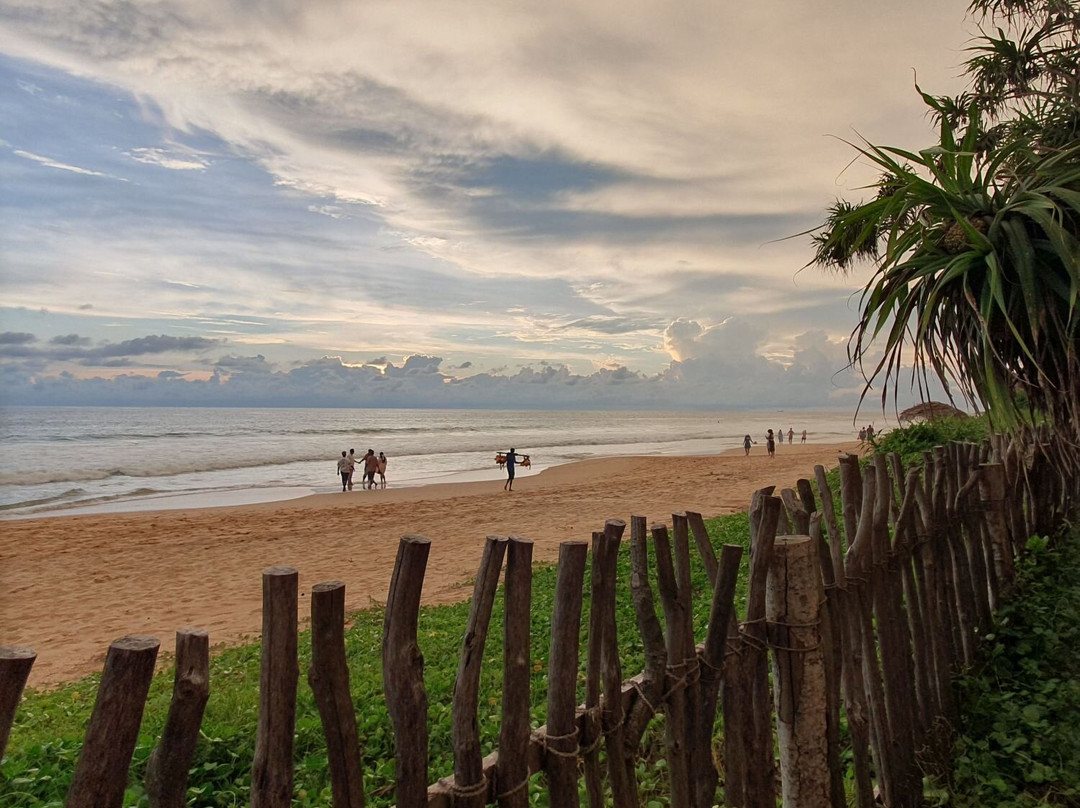 Villa Saffron Hikkaduwa主图