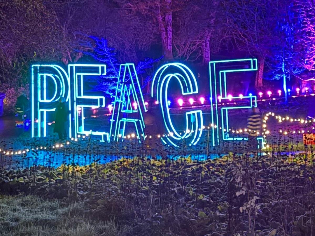 Light Up Trails-罗姆西必去景点