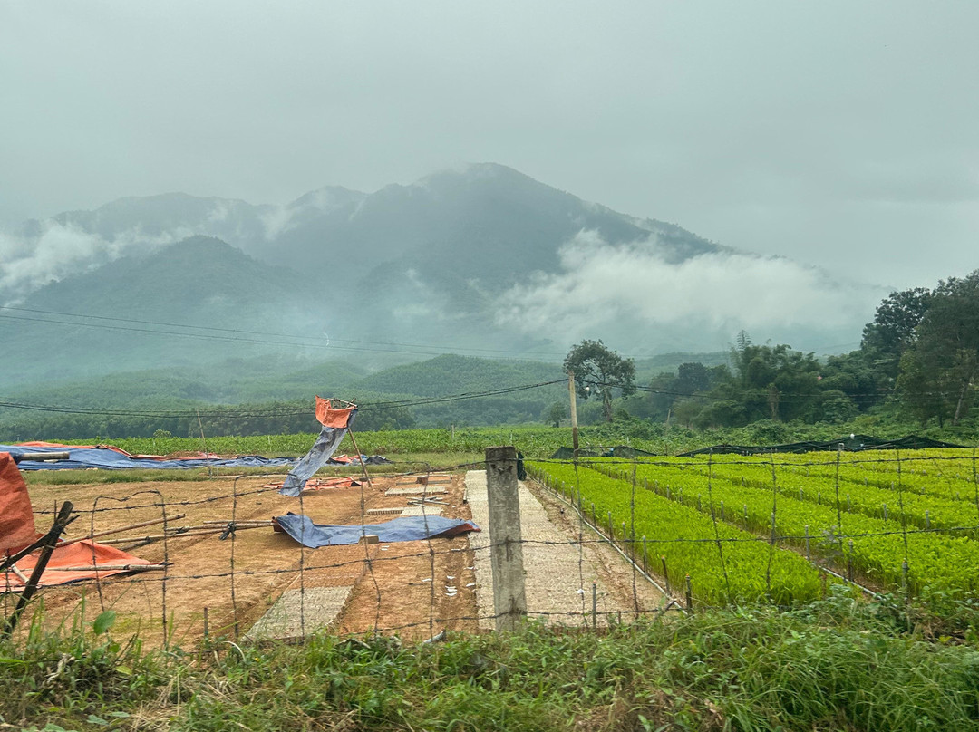 Quang Easyrider - Day Tours-岘港必去景点