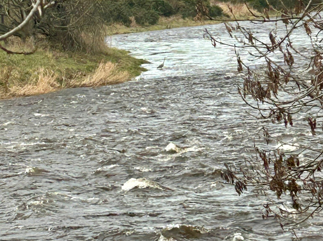 Seaton Park-阿伯丁必去景点