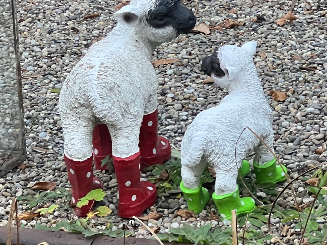 斯坦恩斯坎泽城市酒店主图