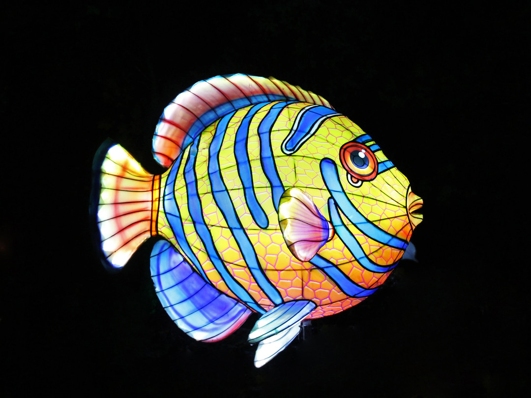 Gulliver's World - Warrington-沃灵顿必去景点